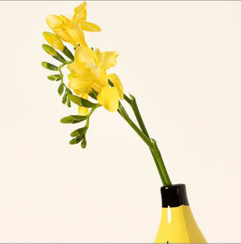 Simple Banana Flower Vase