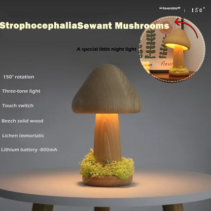 Twisted Mushroom Night Warm Light Touch